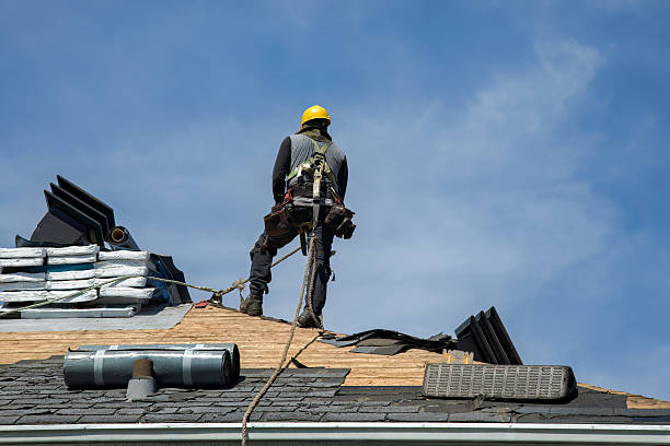 Professional Roof Replacement technician working in Meriden, WY